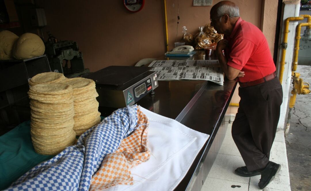 Pide SE investigar posible colusión en precio de tortilla