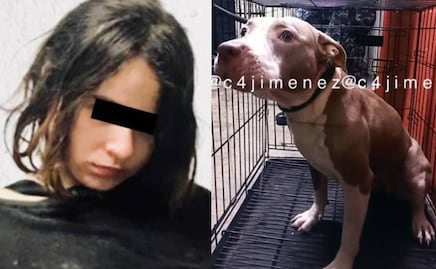 ¿Qué pasará con Luna, la pitbull de Karla, la joven que mató a su madre y a su tío?  