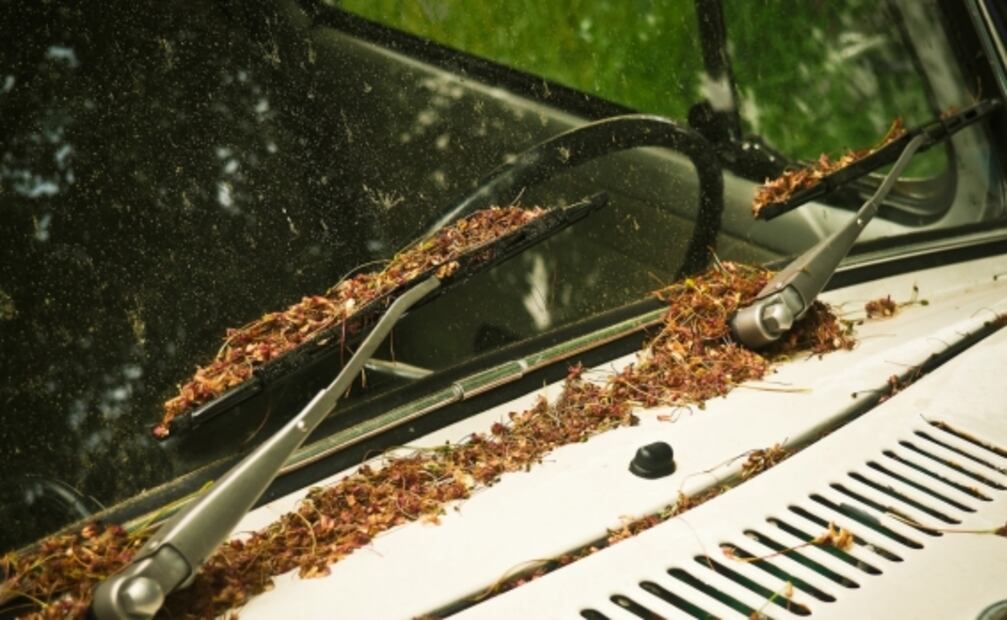 Cómo sacar los rayones de los vidrios de tu auto