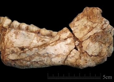 El Homo sapiens vivió mucho antes de lo que se pensaba