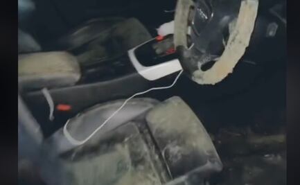 Mujer usa su auto después de 3 semanas y encuentra fea sorpresa