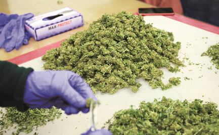 ONU advierte por “epidemia de estupefacientes” en México