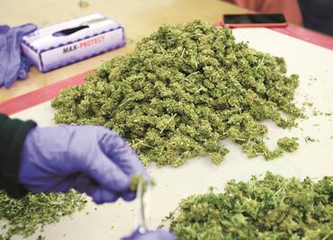 ONU advierte por “epidemia de estupefacientes” en México