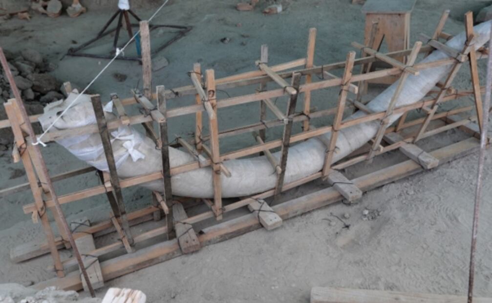 A discovery of epic proportions: Dozens of mammoth remains found in Mexico’s Santa Lucía airport