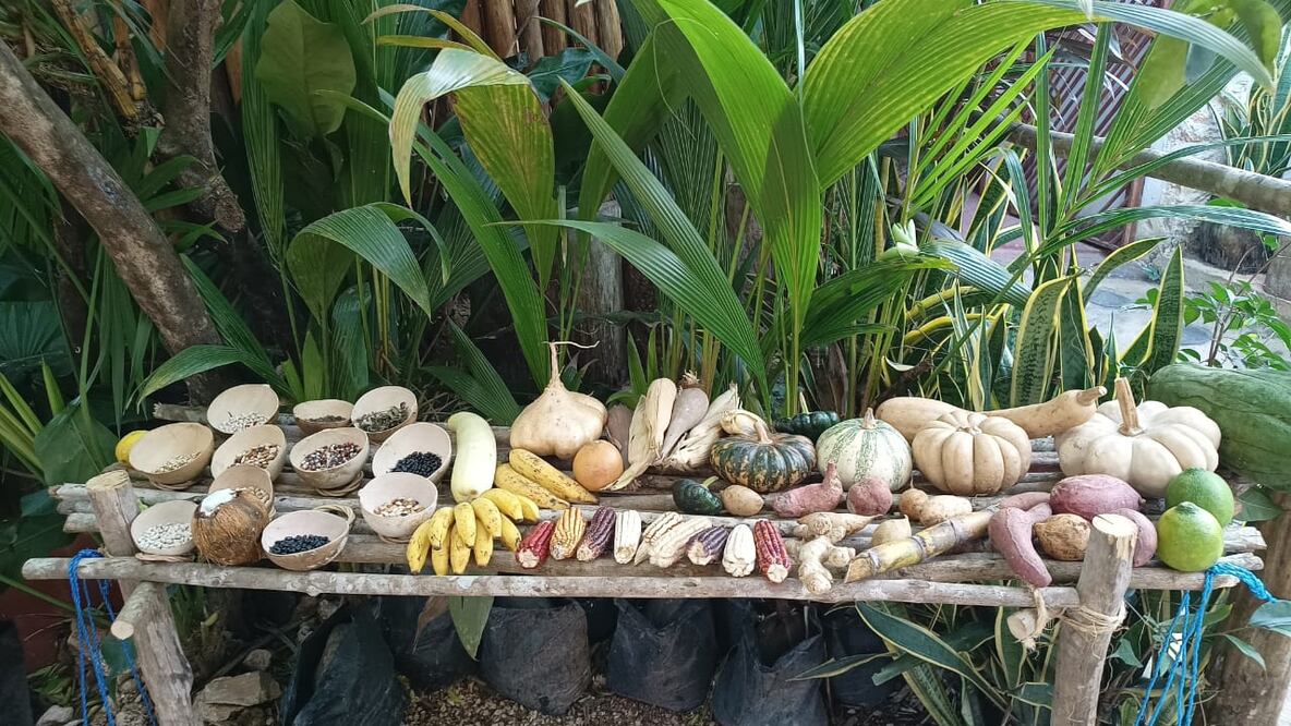 Cooperativa comunitaria Xyaat. Señor, Quintana Roo. Foto Marcos Cante