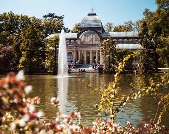 Viaje a España: ya no es requisito mostrar certificado de vacunación