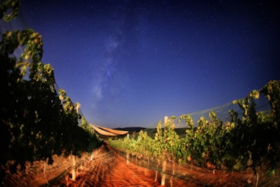 Ensenada: guía de viaje por la Ruta del Vino