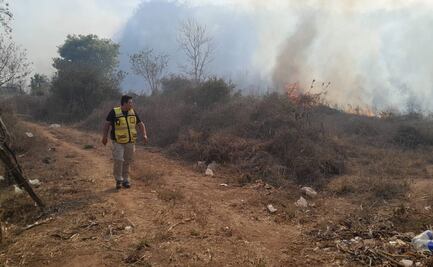 Faltan brigadistas voluntarios para combatir incendios en Sinaloa