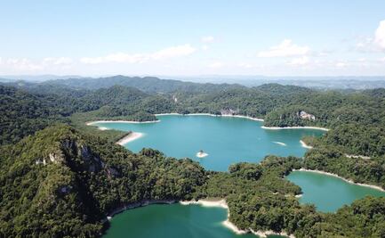Los misterios del arte rupestre de la selva Lacandona, en un libro