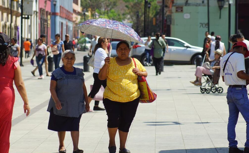 Según información de la Comisión Nacional del Agua (Conagua), los municipios que conforman la región de la Cuenca del Papalopan, son los más afectados por esta segunda ola de calor. Foto: Edwin Hernández - EL UNIVERSAL