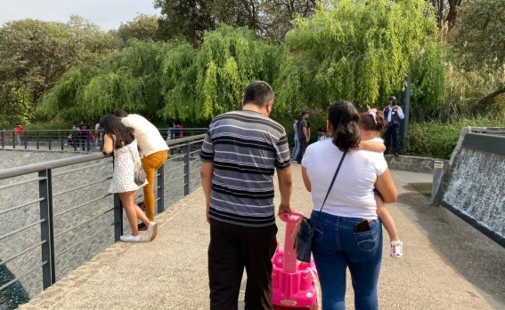 Parque la Mexicana. Foto: Especial