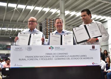 Hay voluntad compartida en renegociación del TLCAN: Meade