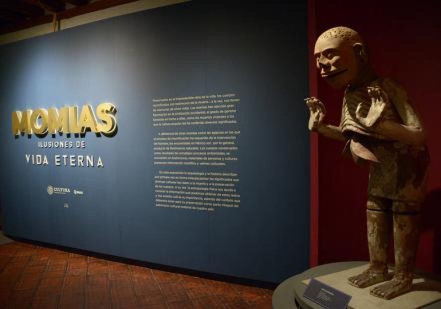 Museo del Carmen suma a su colección permanente 17 momias