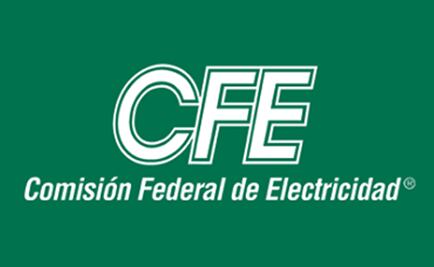 Aunque "no gustó" licitación de watthorímetros, permitió ahorros: Cofece