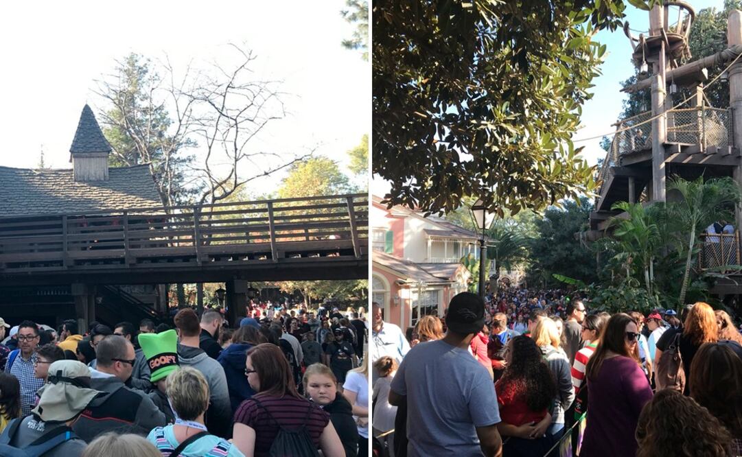 (Foto: @idkmybff_Sarah)