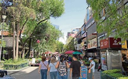 IP preparará a la Zona Rosa para el Mundial 2026