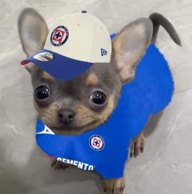 Memes Cruz Azul