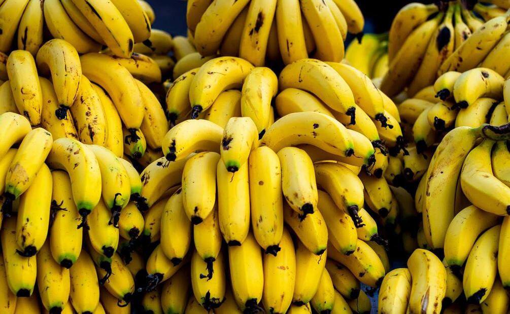 Plátanos. Foto: Pexels