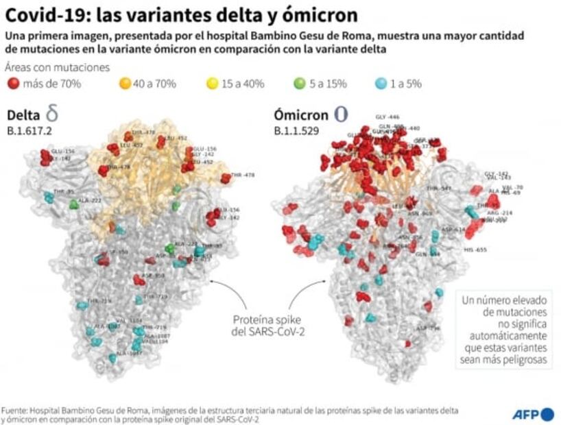 Aún no hay indicios que sugieran que Ómicron desataría síntomas más graves de Covid-19: OMS