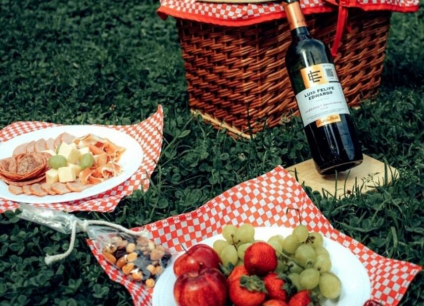 Avezasul, un glamping en el bosque a una hora y media de CDMX