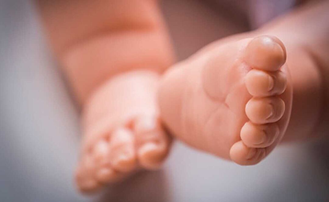 La fiscalía capitalina inició una investigación tras el hallazgo. Foto: Pixabay