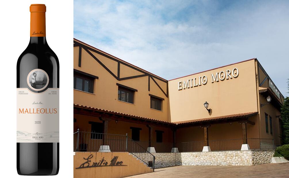 Conoce Ribera del Duero a través de sus vinos. Foto: Especial, Bodegas Emilio Moro