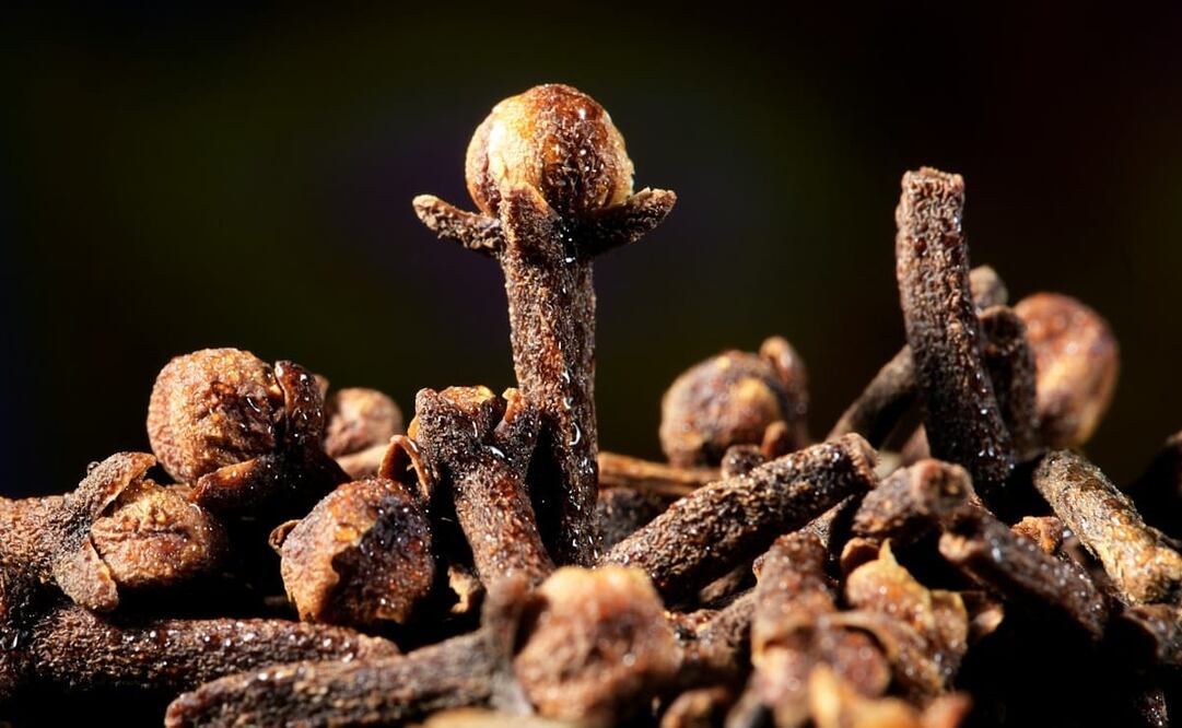 El clavo de olor continúa presente en ritos, prácticas medicinales y gastronomías alrededor del mundo. Foto: Unsplash