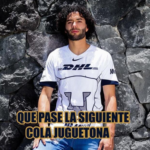 Memes Pumas