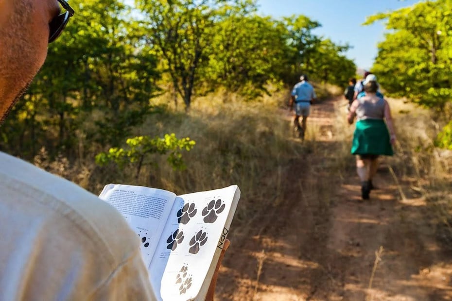 Foto: Cortesía African Conservation Experience