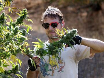Nueve estados de EU votan sobre legalización de marihuana
