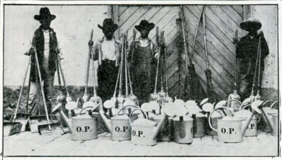 Las manos que seleccionan la basura