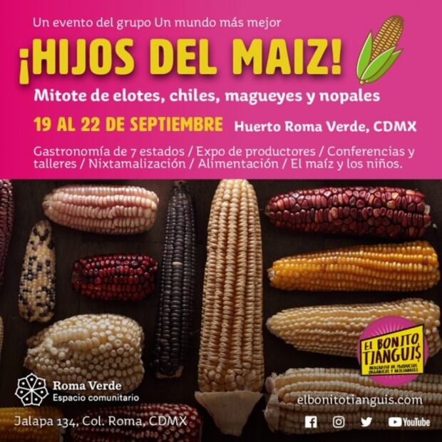 Asiste al festival gastronómico "Los Hijos del Maíz"