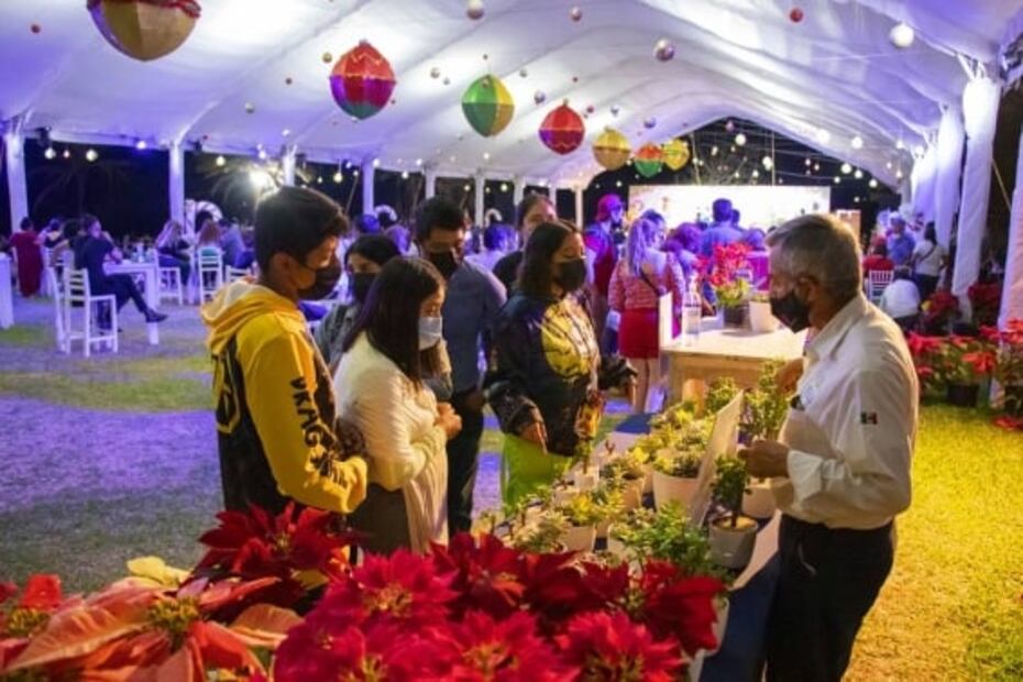 Cuánto cuestan los recorridos navideños en Jardines de México 