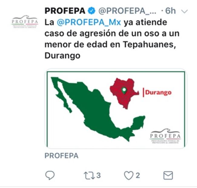 Mascota ataca a niño de 3 años en Durango; era un oso