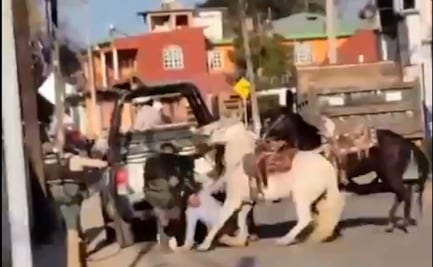 VIDEO: Policías golpean y patean a un jinete en Veracruz