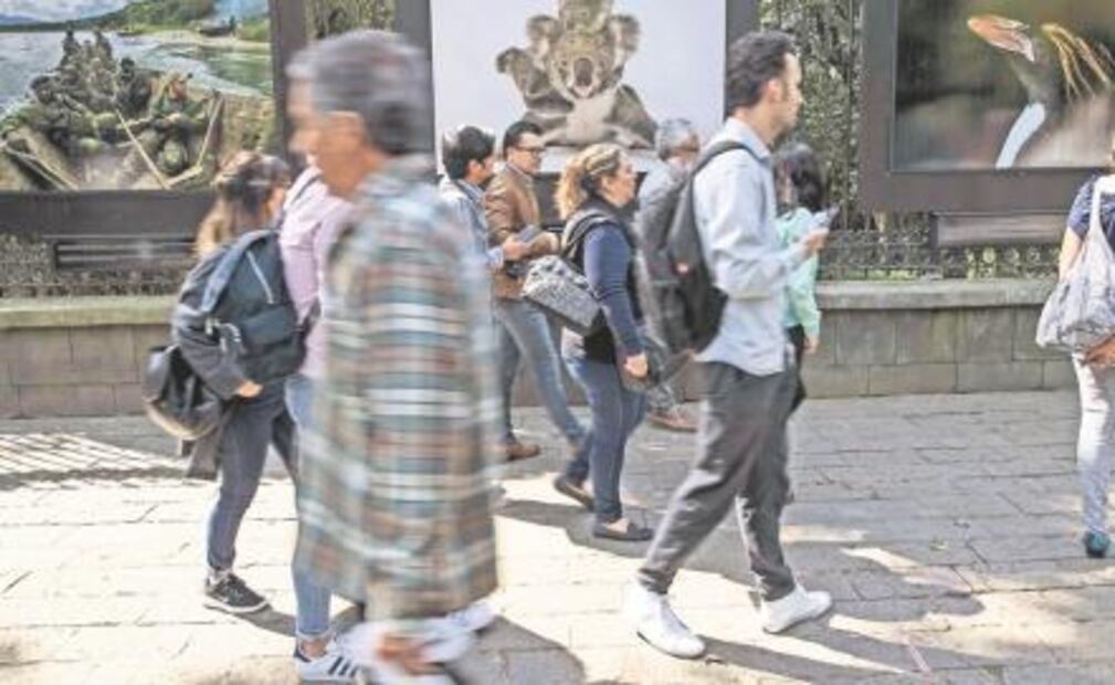 Los humanos causan sexta extinción masiva