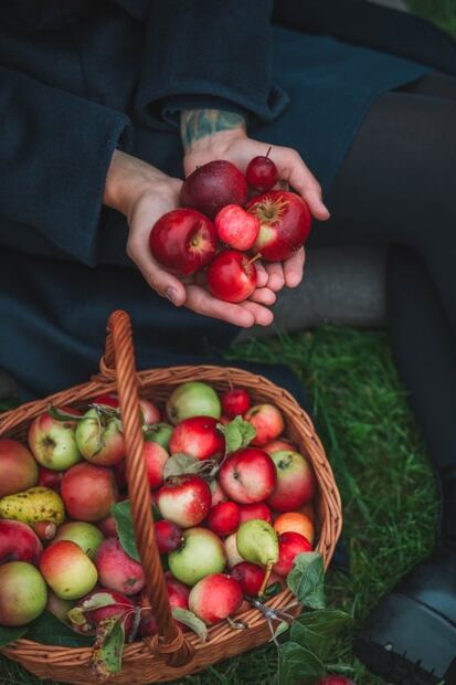 Aprovecha tus manzanas para hacer mermeladas 
