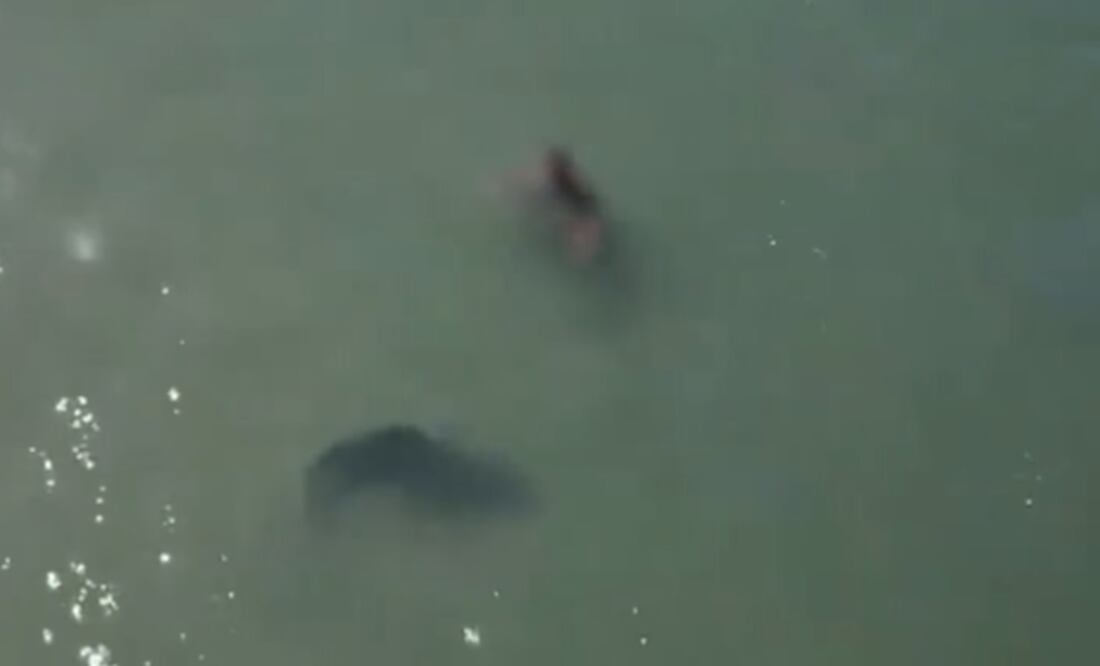 Foto: Tomada del video