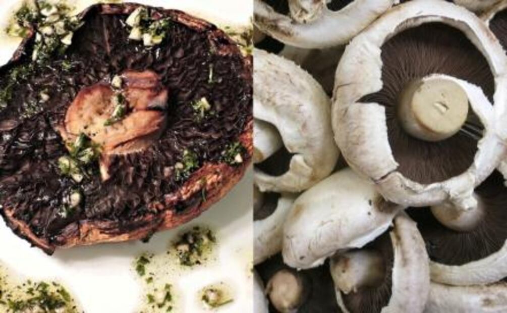 Hongos comestibles y cómo prepararlos