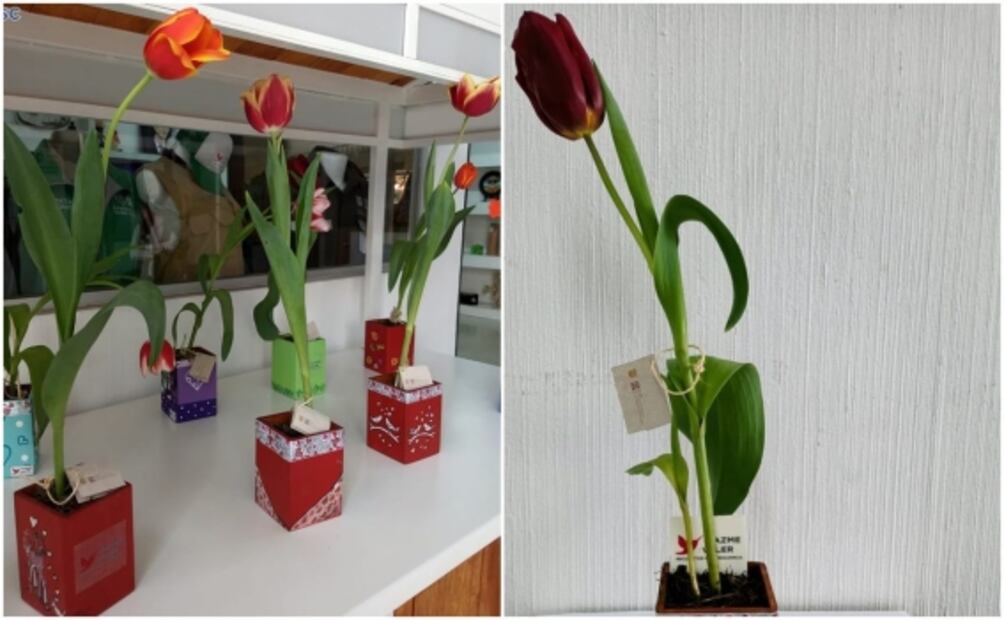 Hazme Valer, la marca de flores que promueve reinserción de reclusos y reclusas 