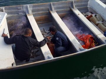 EU sanciona a 5 mexicanos relacionados con el Cártel del Golfo; se dedicaban a la pesca ilegal y el tráfico de drogas