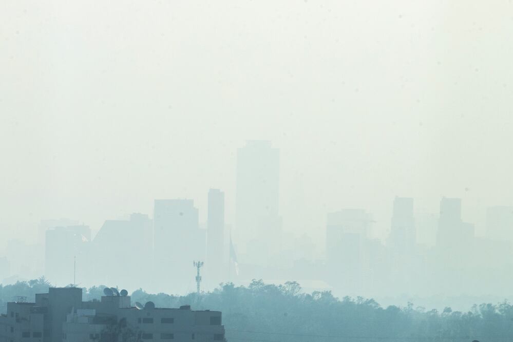 Foto: Archivo. EL UNIVERSAL