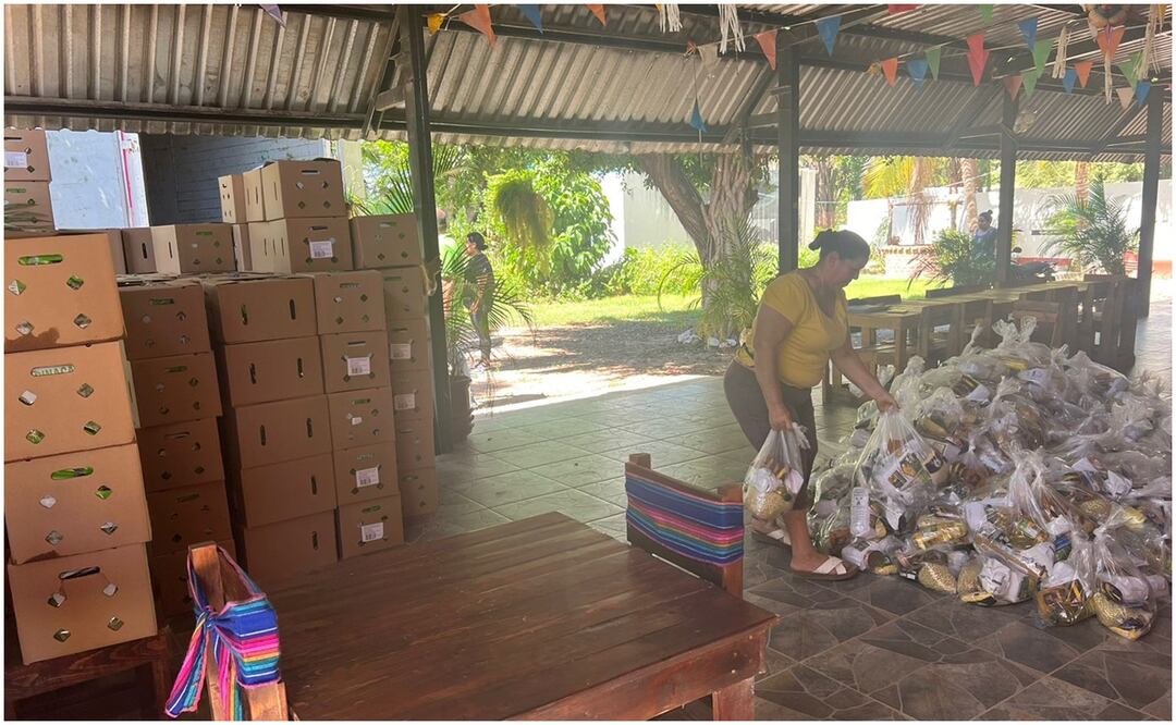 El presidente del Colegio de Profesionistas de Sinaloa dijo que el ofrecimiento de créditos no resuelve la situación de las empresas o negocios, ya que resienten fuertes perdidas económicas tras ola de violencia (18/09/2024). Foto: Especial