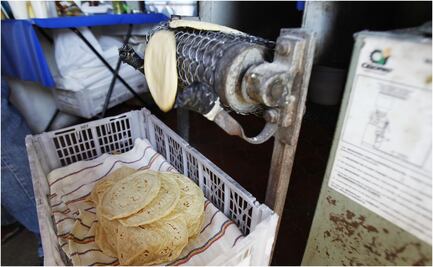 Profeco: en 86 de cada 100 tortillerías no hay cambios de precios