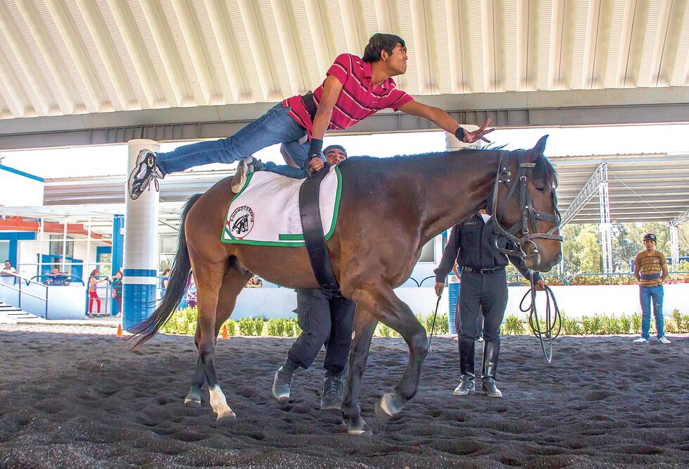 Tras 11 años de equinoterapia, Jorge es un atleta que ha competido en diferentes estados, le gusta el atletismo, la natación y el futbol. Tiene 22 medallas de primer lugar, 19 en segundo lugar y 4 de tercer lugar. (YADÍN XOLALPA. EL UNIVERSAL)