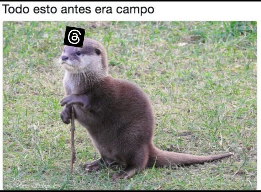 Imagen: Captura de pantalla