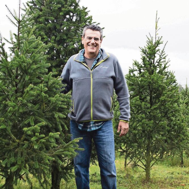 Carlos Maurer, director del Bosque de los Árboles de Navidad, destacó que la extensión del lugar es de más de 500 hectáreas y los pinos cuestan 795 pesos. CORTESÍA