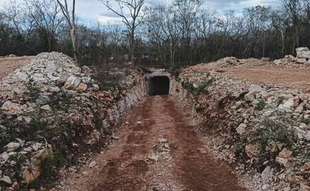 Profepa clausura proyecto turístico en Abalá, Yucatán; detectan afectaciones en más de 10 mil metros cuadrados de selva y en un cenote
