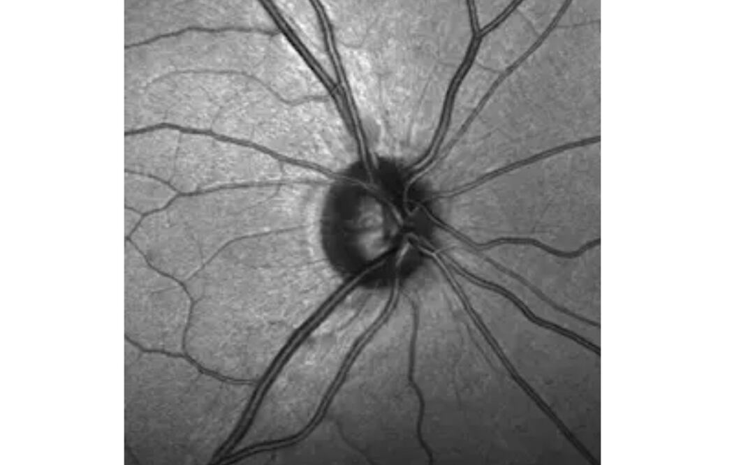 Foto: Gobierno de Canarias vía Europa Press
