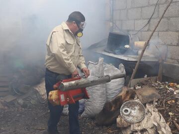 Aumentan casos de dengue Tamaulipas; Ssa estatal realizara fumigaciones en los domicilios